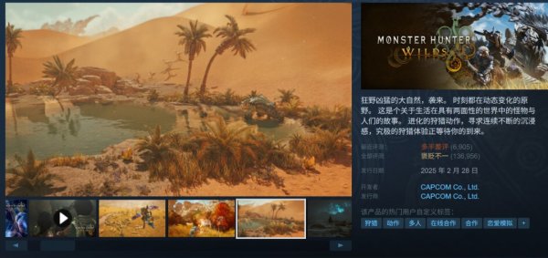 金元速配 《怪物猎人：荒野》更新太慢 PC版已多半差评