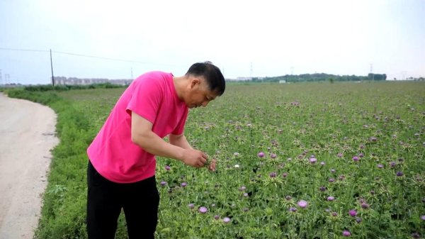 永利配资 新华视点｜逐梦沃野 共探富民密码